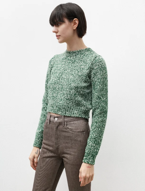 Women's Trendy Wool Pullover Sweater for Fall-Silk Wool Camel Mix Short Pullover Green