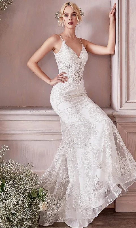 Lace A-Line Wedding Dresses for Timeless Beauty -Cinderella Divine Bridal J825W