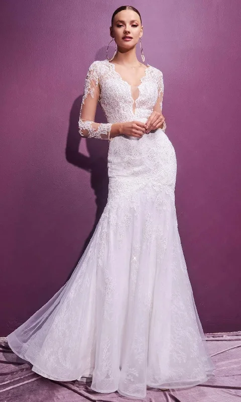 Luxe Lace Wedding Dresses for Sophisticated Brides -Cinderella Divine Bridals CD951W