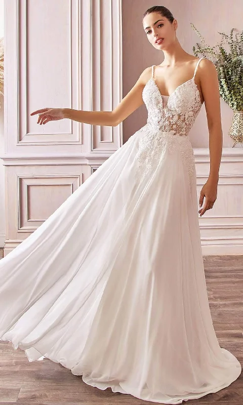 Lace Overlay Wedding Dresses for Delicate Appeal -Cinderella Divine Bridals TY11